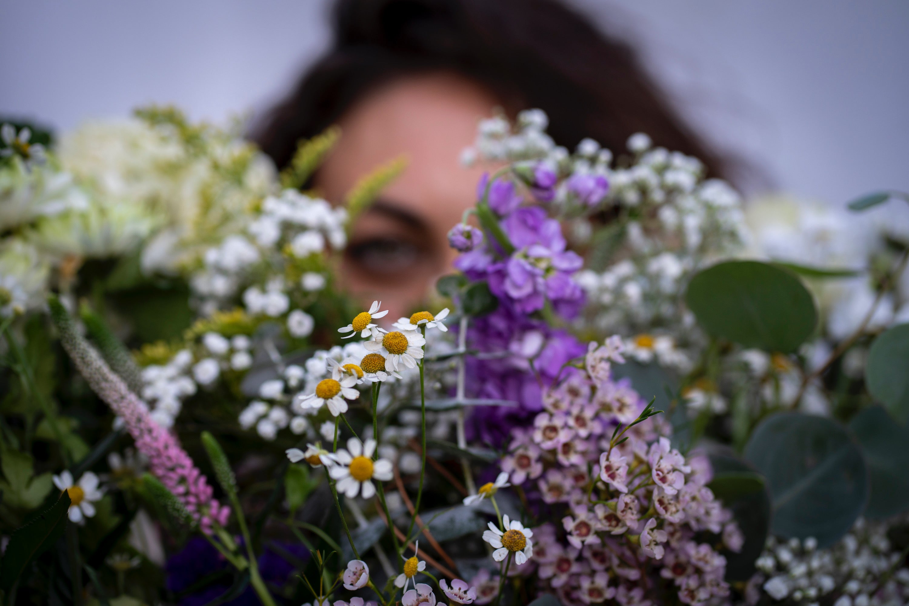 Big Changes Are Blooming at Mallory’s Corner: Introducing Our 12-Month Series